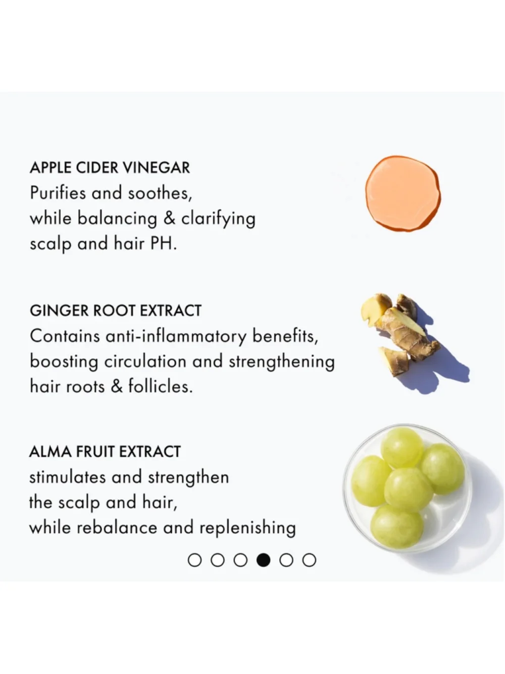 Fekkai Apple Cider Detox Rinse Conditioning Detangler 250ml